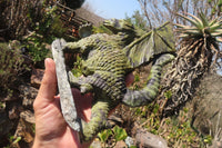 Polished Leopard Stone Welsh Dragon Carving x 1 From Zimbabwe - Toprock Gemstones and Minerals