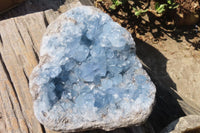 Natural Celestite Geode x 1 From Sakoany, Madagascar - Toprock Gemstones and Minerals