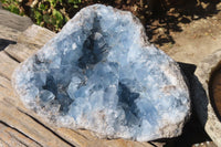 Natural Celestite Geode x 1 From Sakoany, Madagascar - Toprock Gemstones and Minerals
