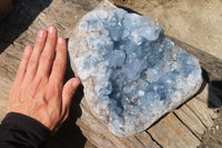 Natural Celestite Geode x 1 From Sakoany, Madagascar - Toprock Gemstones and Minerals