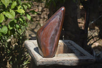 Polished Banded Tiger Iron Jasper Standing Free Form x 1 From Prieska, Northern Cape - Toprock Gemstones and Minerals