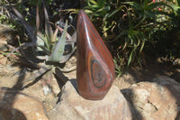 Polished Banded Tiger Iron Jasper Standing Free Form x 1 From Prieska, Northern Cape - Toprock Gemstones and Minerals