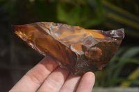 Natural Nguni Jasper Cobbed Specimens x 6 From Prieska, South Africa - Toprock Gemstones and Minerals