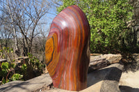 Polished XXL Banded Tiger Iron Jasper Display Piece x 1 From South Africa - Toprock Gemstones and Minerals