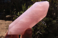 Polished Rose Quartz Crystals x 3 From Madagascar - Toprock Gemstones and Minerals