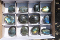 Polished Labradorite Galet / Palm Stones x 12 From Tulear, Madagascar - Toprock Gemstones and Minerals