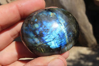 Polished Labradorite Galet / Palm Stones x 12 From Tulear, Madagascar - Toprock Gemstones and Minerals