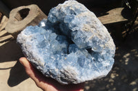 Natural Celestite Cluster x 1 From Sakoany, Madagascar - Toprock Gemstones and Minerals