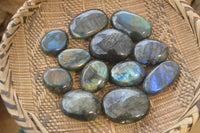Polished Labradorite Galet / Palm Stones x 12 From Tulear, Madagascar - Toprock Gemstones and Minerals