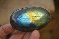 Polished Labradorite Galet / Palm Stones x 12 From Tulear, Madagascar - Toprock Gemstones and Minerals