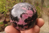 Polished Rhodonite Spheres x 4 From Madagascar - Toprock Gemstones and Minerals