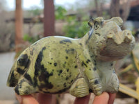 Polished Leopard Stone Hippo Carvings x 2 From Zimbabwe - Toprock Gemstones and Minerals
