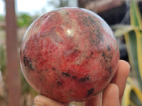 Polished Rhodonite Spheres x 2 From Zimbabwe - Toprock Gemstones and Minerals