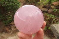 Polished Rose Quartz Spheres x 2 From Ambatondrazaka, Madagascar - Toprock Gemstones and Minerals
