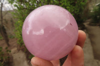 Polished Rose Quartz Spheres x 2 From Ambatondrazaka, Madagascar - Toprock Gemstones and Minerals