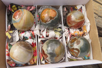 Polished Polychrome Jasper Spheres x 6 From Madagascar - Toprock Gemstones and Minerals