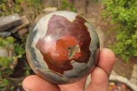 Polished Polychrome Jasper Spheres x 6 From Madagascar - Toprock Gemstones and Minerals
