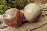 Polished Polychrome Jasper Spheres x 6 From Madagascar - Toprock Gemstones and Minerals