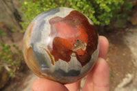 Polished Polychrome Jasper Spheres x 6 From Madagascar - Toprock Gemstones and Minerals