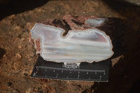 Polished Sashe River Agate Nodules x 4 From Zimbabwe - Toprock Gemstones and Minerals