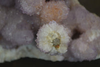 Natural Ametrine Spirit Quartz Cluster x 1 From Boekenhouthoek, South Africa - Toprock Gemstones and Minerals