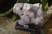Natural Ametrine Spirit Quartz Cluster x 1 From Boekenhouthoek, South Africa - Toprock Gemstones and Minerals