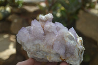 Natural Ametrine Spirit Quartz Cluster x 1 From Boekenhouthoek, South Africa - Toprock Gemstones and Minerals