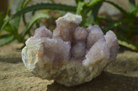 Natural Ametrine Spirit Quartz Cluster x 1 From Boekenhouthoek, South Africa - Toprock Gemstones and Minerals