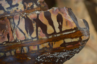 Polished On One Side Nguni Jasper Specimen x 1 From Prieska, South Africa - Toprock Gemstones and Minerals