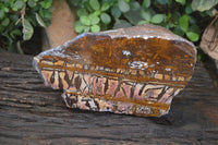 Polished On One Side Nguni Jasper Specimen x 1 From Prieska, South Africa - Toprock Gemstones and Minerals