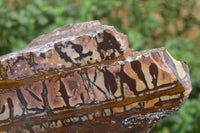 Polished On One Side Nguni Jasper Specimen x 1 From Prieska, South Africa - Toprock Gemstones and Minerals