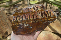 Polished On One Side Nguni Jasper Specimen x 1 From Prieska, South Africa - Toprock Gemstones and Minerals