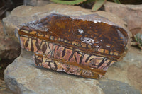 Polished On One Side Nguni Jasper Specimen x 1 From Prieska, South Africa - Toprock Gemstones and Minerals