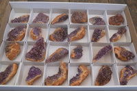 Natural Amethystos Amethyst Plates x 24 From Kwaggafontein, South Africa - Toprock Gemstones and Minerals