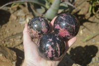 Polished Rhodonite Sphere-Balls x 4 From Ambindavato, Madagascar - Toprock Gemstones and Minerals