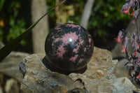 Polished Rhodonite Sphere-Balls x 4 From Ambindavato, Madagascar - Toprock Gemstones and Minerals
