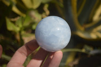 Polished Blue Calcite Sphere-Balls x 4 From Madagascar - Toprock Gemstones and Minerals