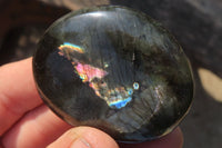 Polished Labradorite Palm Stones x 20 From Tulear, Madagascar - Toprock Gemstones and Minerals