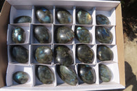 Polished Labradorite Palm Stones x 20 From Tulear, Madagascar - Toprock Gemstones and Minerals