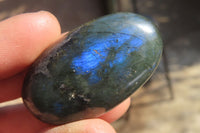 Polished Labradorite Palm Stones x 20 From Tulear, Madagascar - Toprock Gemstones and Minerals