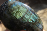 Polished Labradorite Palm Stones x 20 From Tulear, Madagascar - Toprock Gemstones and Minerals