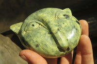 Polished Leopard Stone Cat Face Carvings x 3 From Zimbabwe - Toprock Gemstones and Minerals