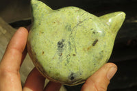 Polished Leopard Stone Cat Face Carvings x 3 From Zimbabwe - Toprock Gemstones and Minerals