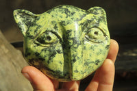 Polished Leopard Stone Cat Face Carvings x 3 From Zimbabwe - Toprock Gemstones and Minerals