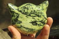 Polished Leopard Stone Cat Face Carvings x 3 From Zimbabwe - Toprock Gemstones and Minerals