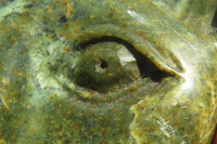 Polished Leopard Stone Cat Face Carvings x 3 From Zimbabwe - Toprock Gemstones and Minerals