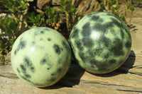 Polished Leopard Stone Spheres x 2 From Nyanga, Zimbabwe - Toprock Gemstones and Minerals