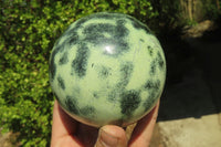 Polished Leopard Stone Spheres x 2 From Nyanga, Zimbabwe - Toprock Gemstones and Minerals