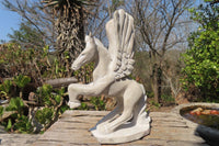 Polished White Marble Pegasus Carving x 1 From Zimbabwe - Toprock Gemstones and Minerals