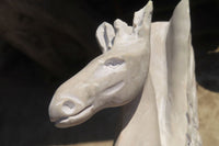 Polished White Marble Pegasus Carving x 1 From Zimbabwe - Toprock Gemstones and Minerals